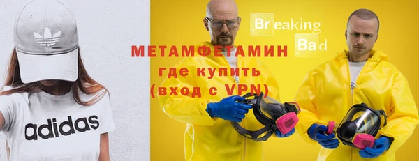 шишки Лабытнанги