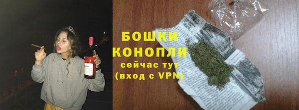 шишки Лабытнанги