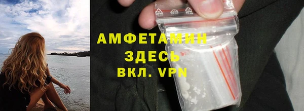 шишки Лабытнанги