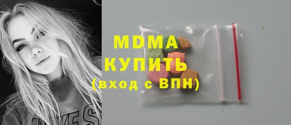 шишки Лабытнанги