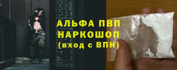 шишки Лабытнанги