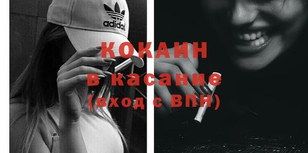 шишки Лабытнанги