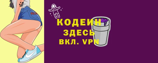 шишки Лабытнанги
