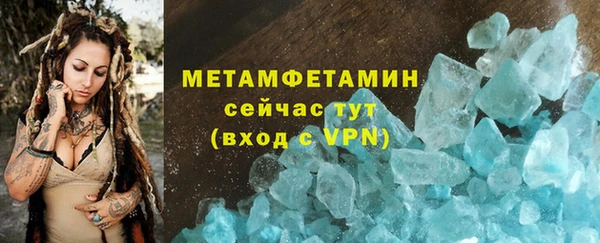 шишки Лабытнанги