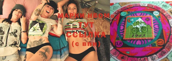 шишки Лабытнанги