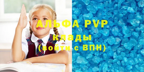 шишки Лабытнанги