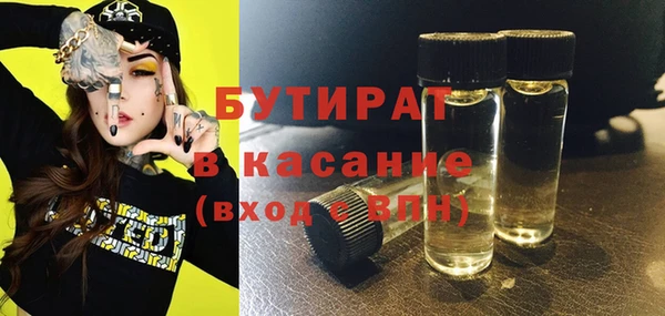 шишки Лабытнанги