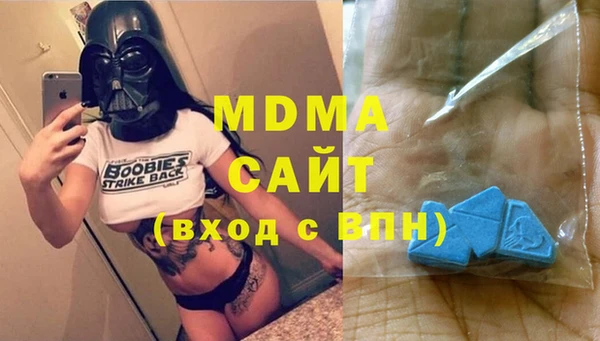 шишки Лабытнанги