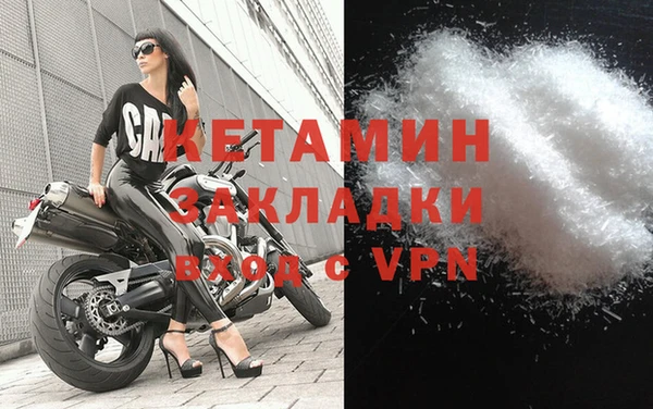 шишки Лабытнанги