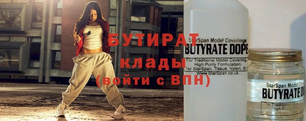 шишки Лабытнанги